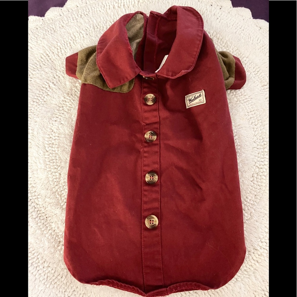 Dogs Woolrich collared shirt .